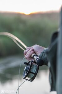 Alt for få havørreder i Grindsted Å