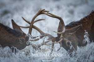 HB'er splittet i afgørende valg