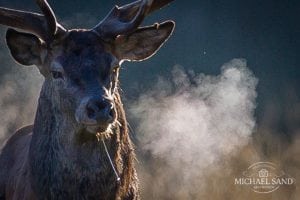 Referatskandale tager om sig