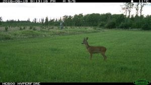 IMG_0245 (3)