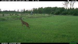 IMG_0246 (2)