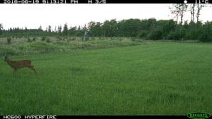 IMG_0248 (2)