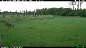 IMG_0253 (2)