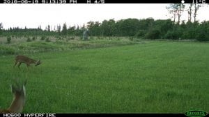 IMG_0254