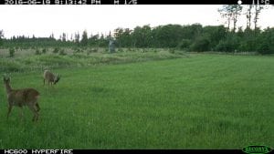 IMG_0256