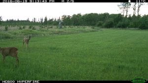 IMG_0257 (2)