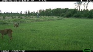 IMG_0259