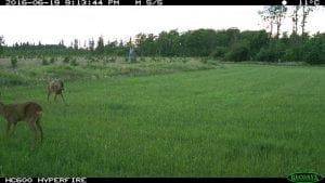 IMG_0260 (2)