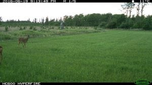 IMG_0261 (2)