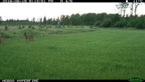 IMG_0264 (3)