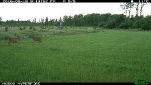 IMG_0265 (2)