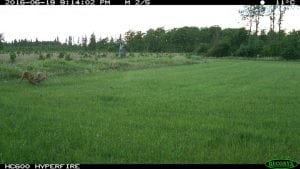 IMG_0272