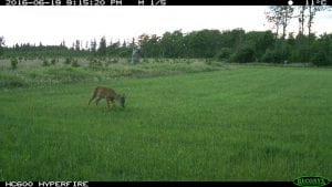 IMG_0276 (2)