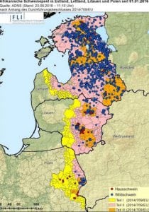 Afrikansk svinepest breder sig fortsat