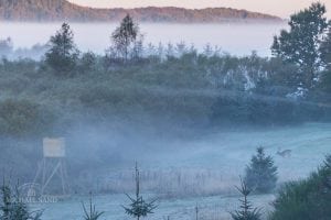 Tag over jagttårnet: Hvad mener branchen?