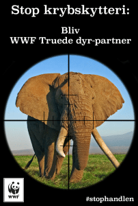 truede-dyr-partner_banner_wildlife_crime_v1