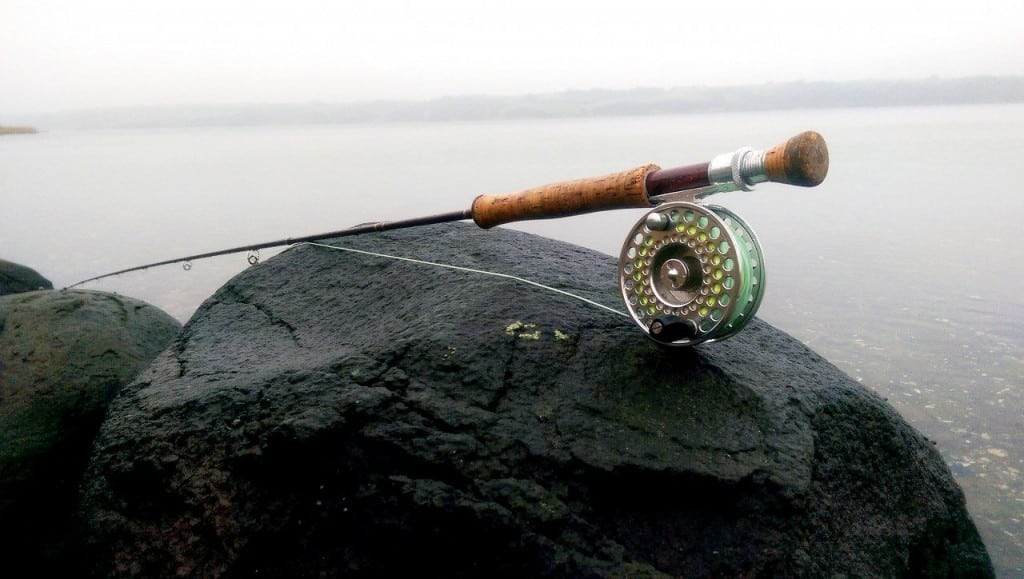 Fjordfiskeri efter havørreder