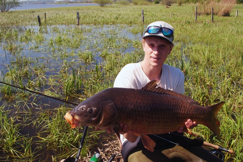 Karpejagt med fluestangen
