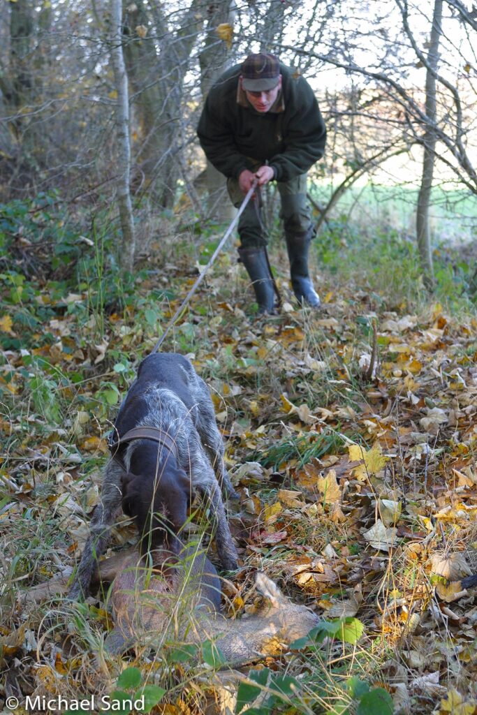 Information om det danske Schweiss-register