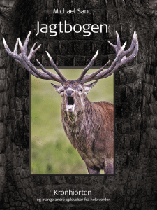 Jagtbogen 768x1024