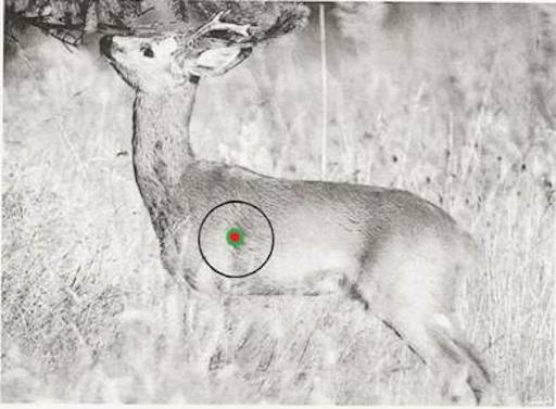 Pas på sidevinden under indskydning og jagt