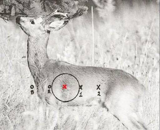 Pas på sidevinden under indskydning og jagt