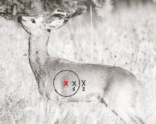 Pas på sidevinden under indskydning og jagt