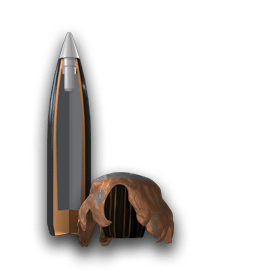 ballistic-silvertip cutaway