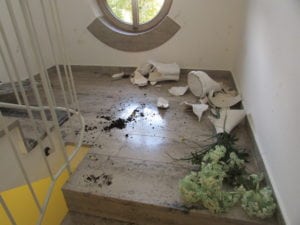 Vildsvin med tandpine?