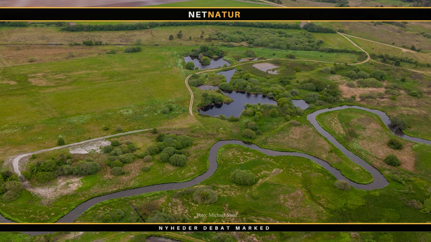 Grønne korridorer i landskabet støttet med 10 millioner