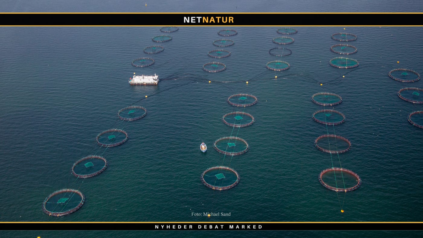 Minister kræver fuldstændigt overblik over havbrug