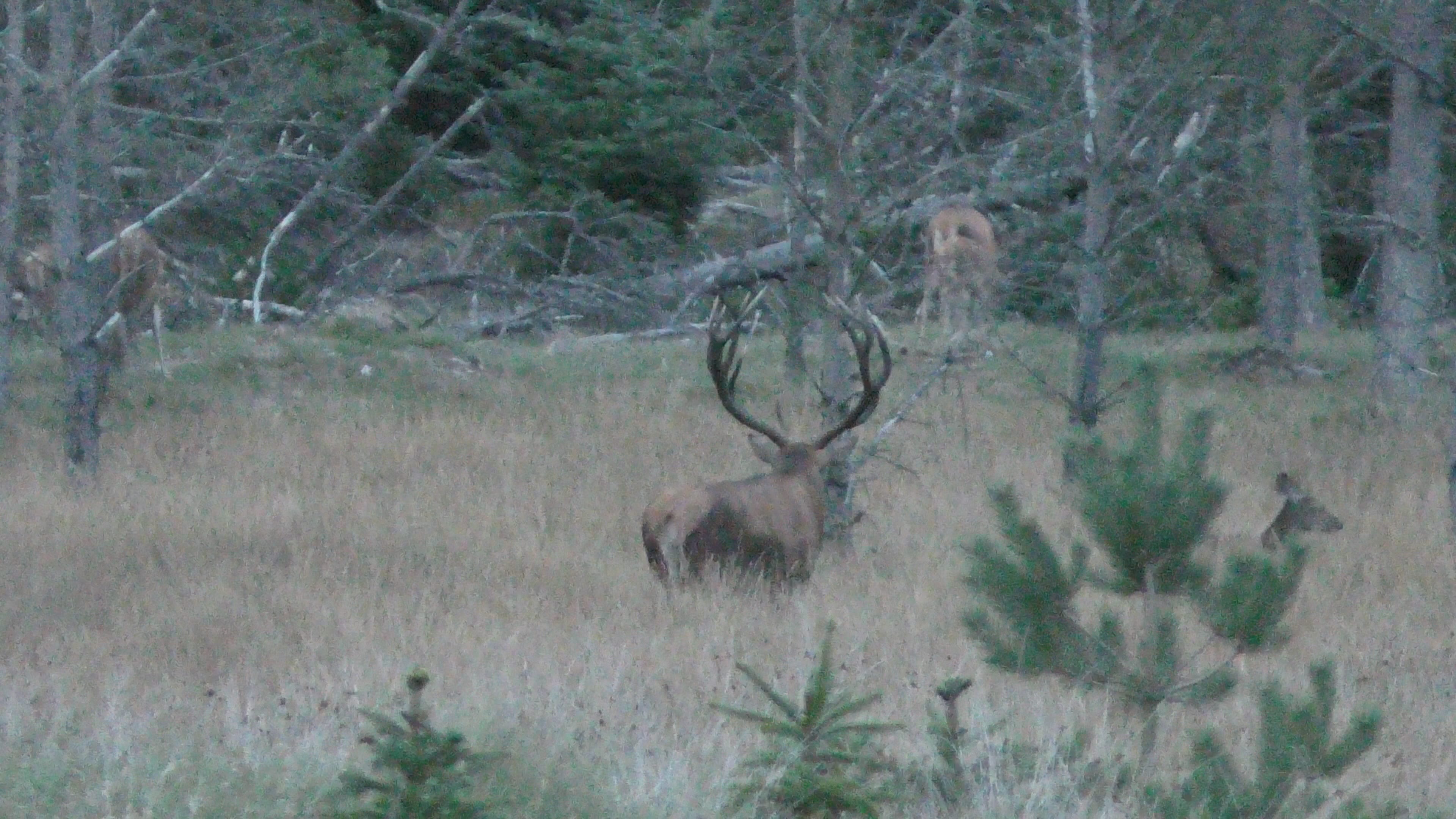 Egon Bennetsen klar med nye videoer fra Hjardemål Klit