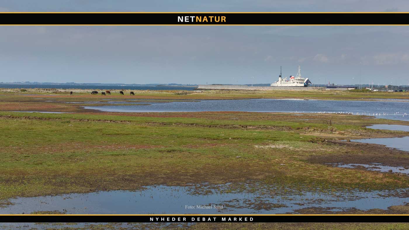 Information om § 3 naturbeskyttelse