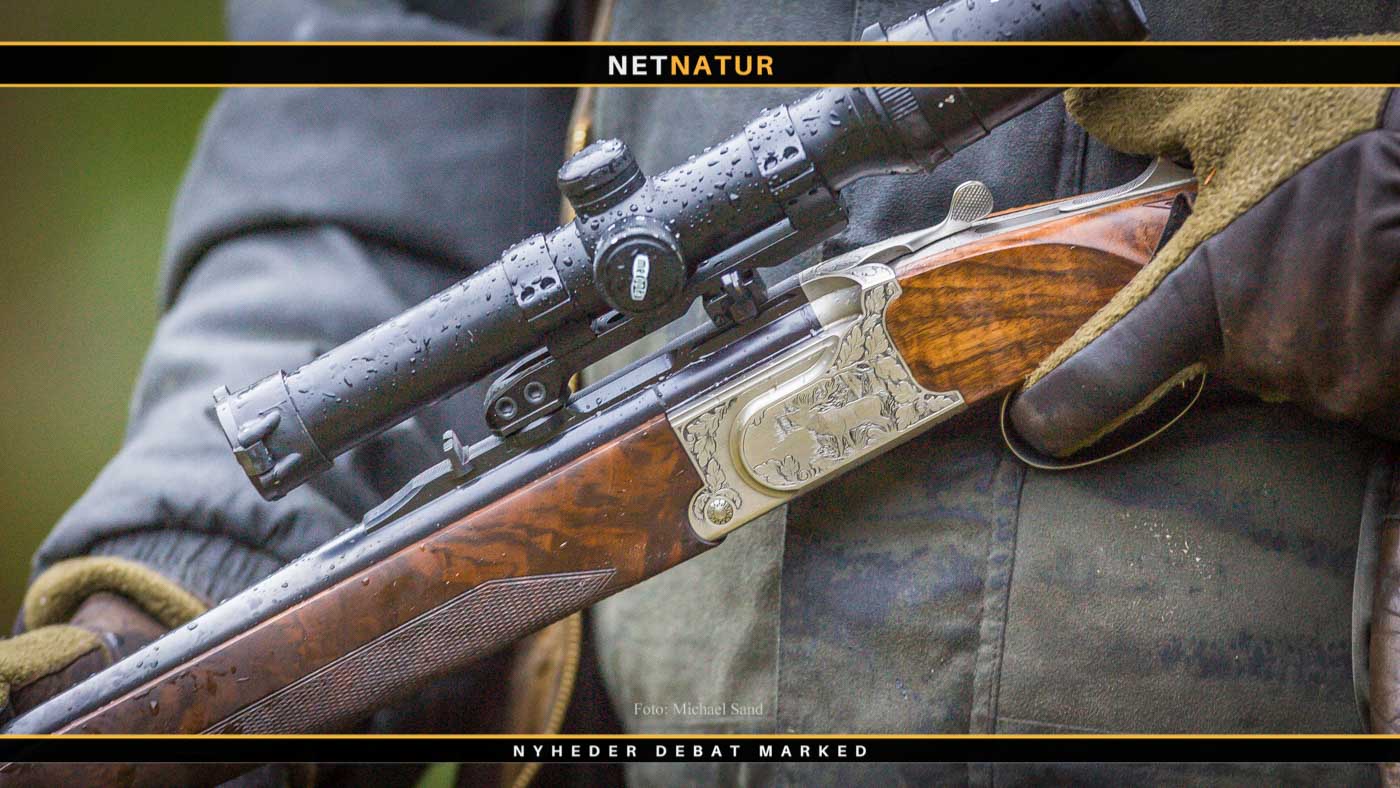 Jæger dømt for at sende to skræmmeskud mod forstyrrende skovgæst