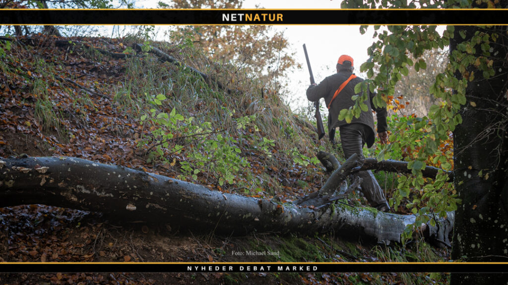 Biodiversitet og jagt