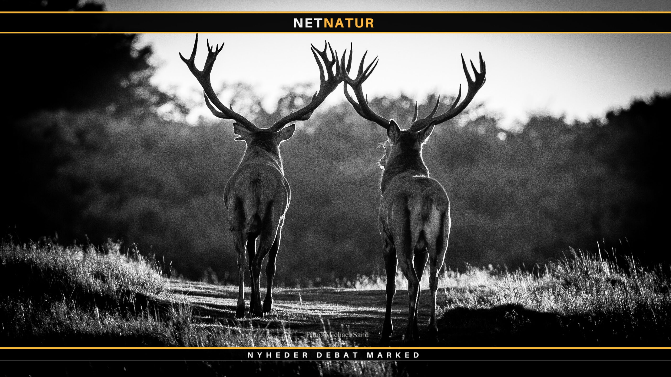 Norbert Ravnsbæk og Jens Kjær Knudsen