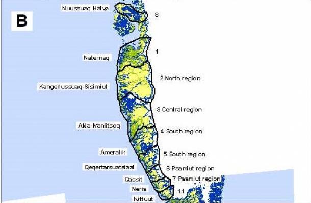 Jagt på ren og moskus i grønland